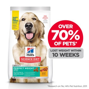 canine weight management