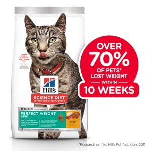 feline weight management