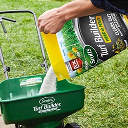 lawn grass seed fertilizer