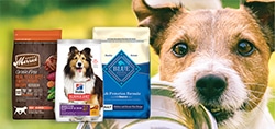 pet dog puppy wet dry food kibble