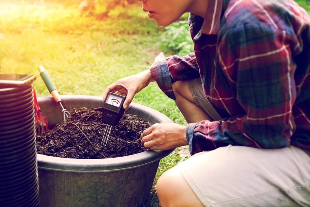 Spring Vegetable Garden Soil Testing Tips