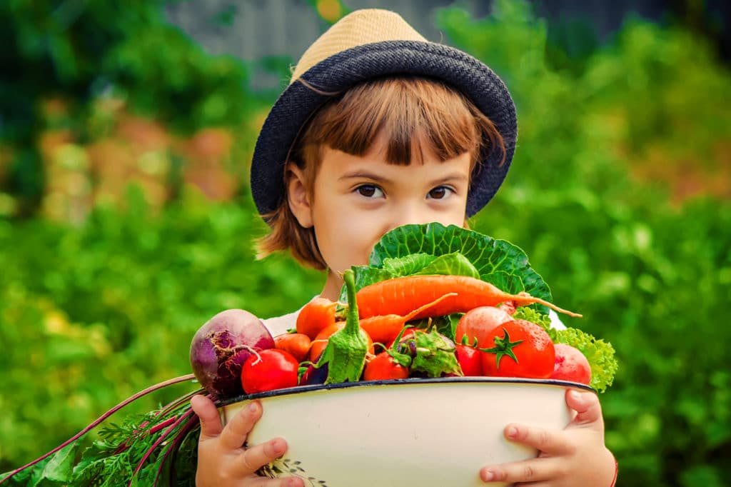 Which Vegetables Grow Together Best?